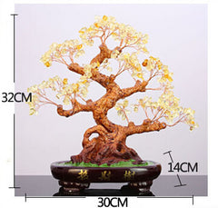 BONSAI JEWEL TREE 13