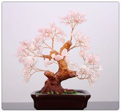 BONSAI JEWEL TREE 13