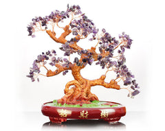 BONSAI JEWEL TREE 13